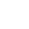 BTS Crane