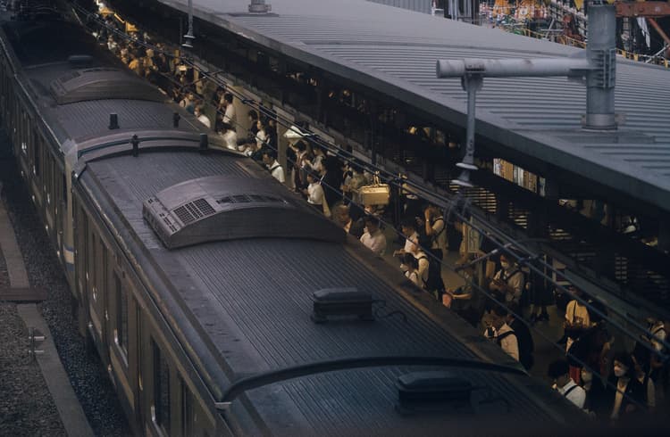 Social conformity thumbnail