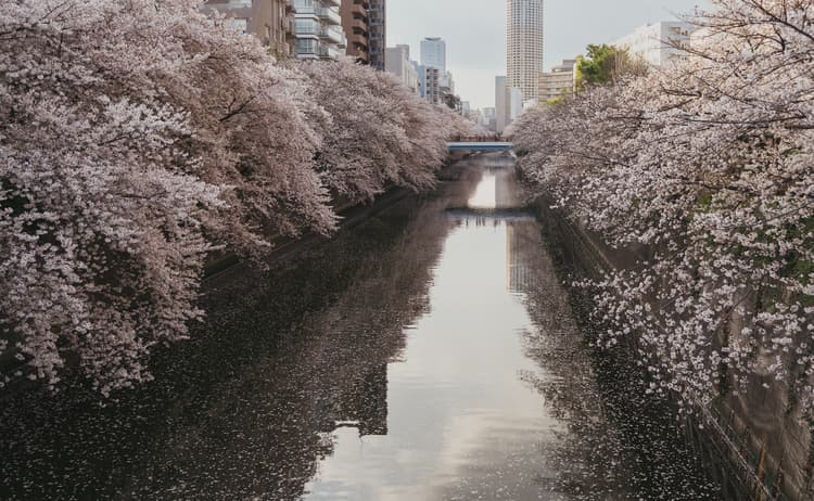 Prayer for spiritual breakthrough thumbnail